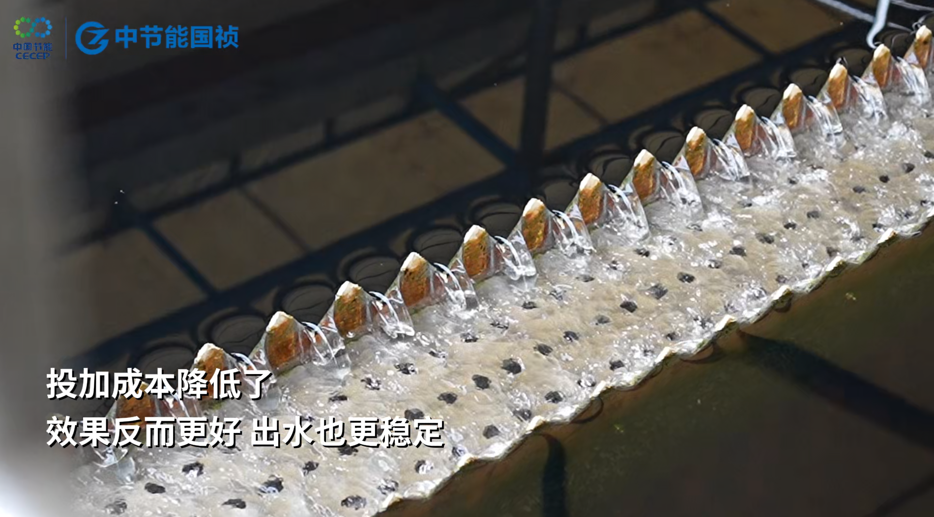 8868体育app官方版
