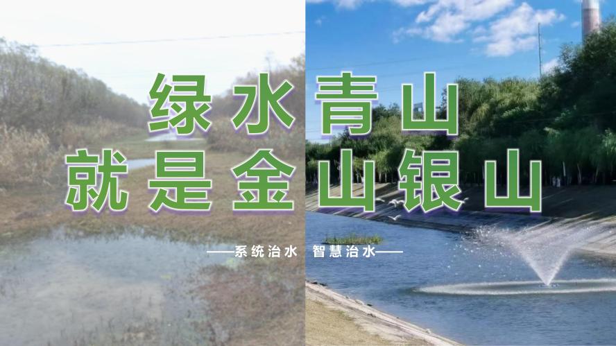 8868体育app官方版